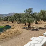 Ii